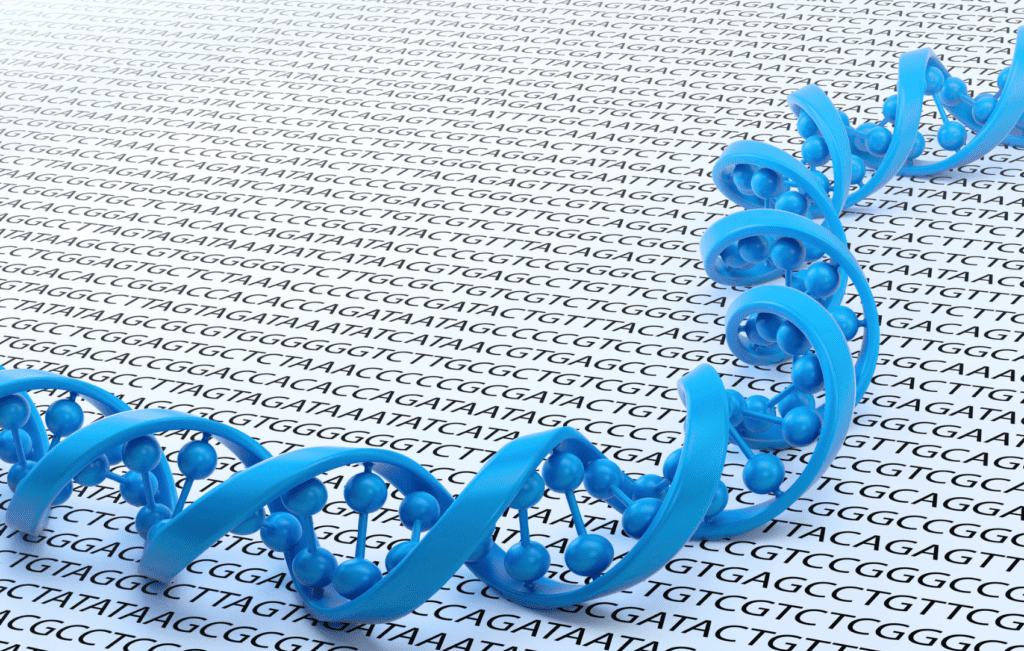 Sequência completa do cromossomo Y é desvendada por cientistas Portal