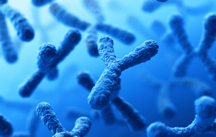 Sequência completa do cromossomo Y é desvendada por cientistas Portal