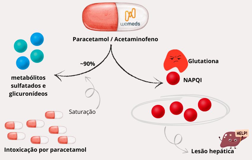 mecanismo da intoxicação por paracetamol e formação de NAPQI