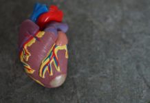 Como interpretar as troponinas: valores, causas de elevação e diagnóstico do infarto troponinas cardíacas - marcador de lesão miocárdica e infarto