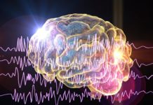 Epilepsia explicada: tipos de crises, causas e as síndromes mais comuns epilepsia explicada