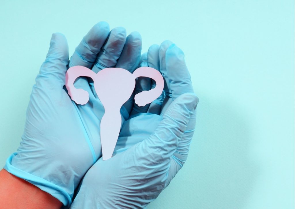 mão com luvas segurando um útero de papel, representando o estudo da endometriose