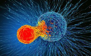 reumatologia cancer cell immune system vacinas contra o cancer