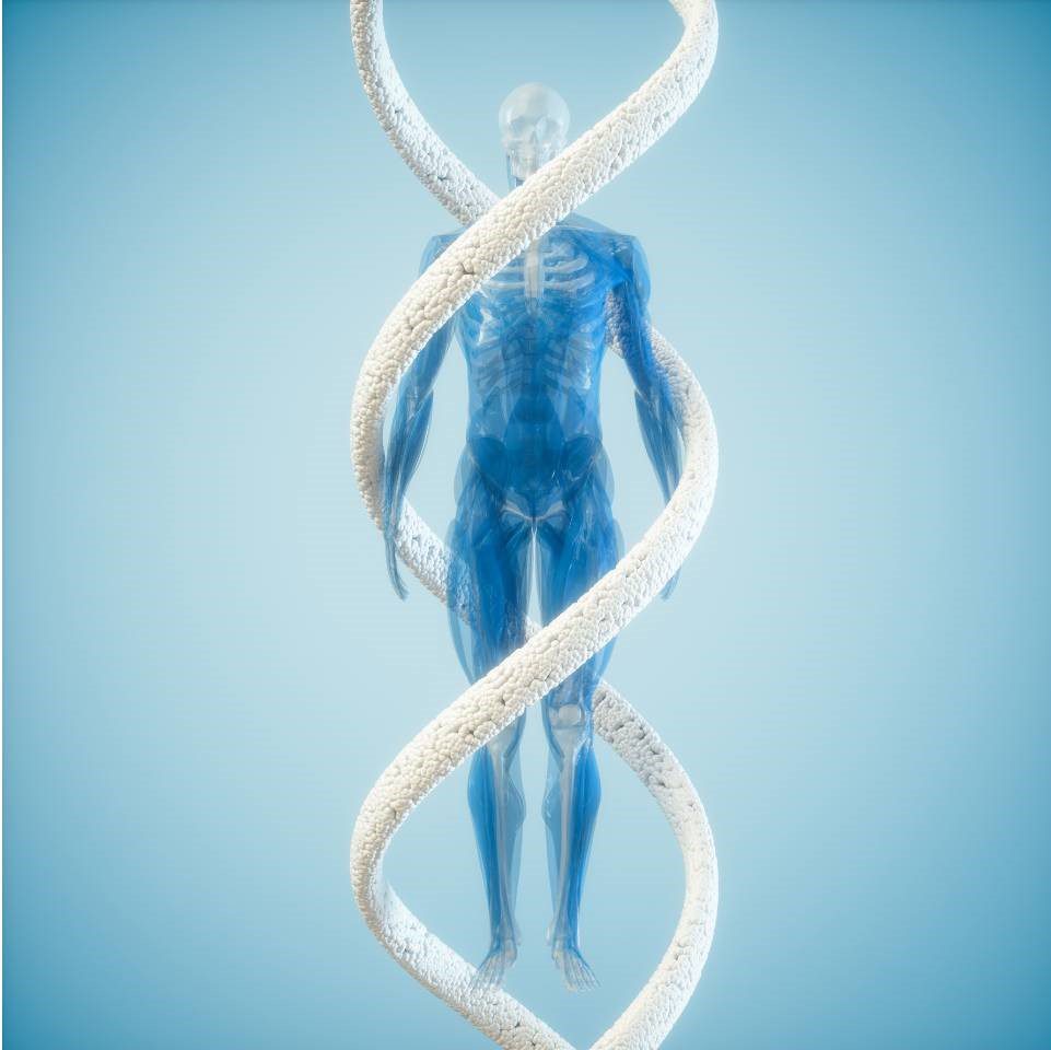 nobel de fisiologia ou medicina nobel de medicina denisova DNA genetica