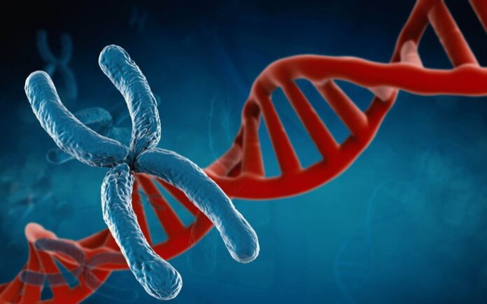 cromossomo X mutação dna genetica sindrome vexas