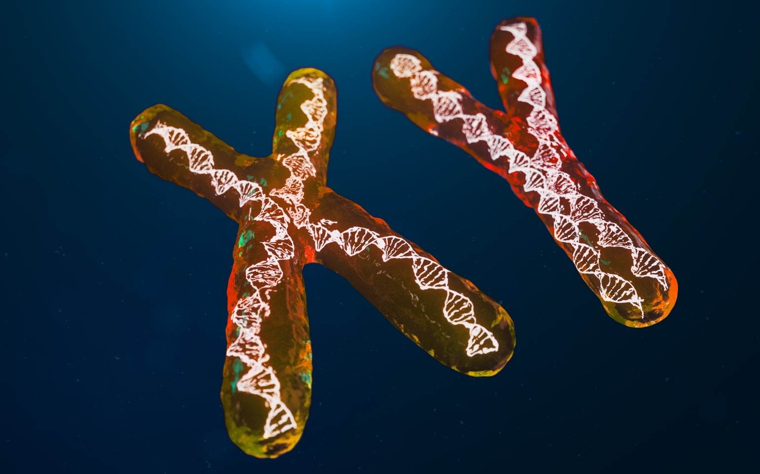 genetica dna cromossomos X Y sindrome vexas