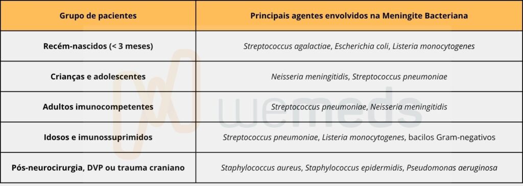 principais agentes envolvidos na meningite bacteriana conforme o grupo de paciente