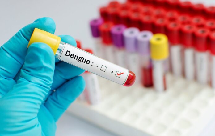 sorologia para dengue