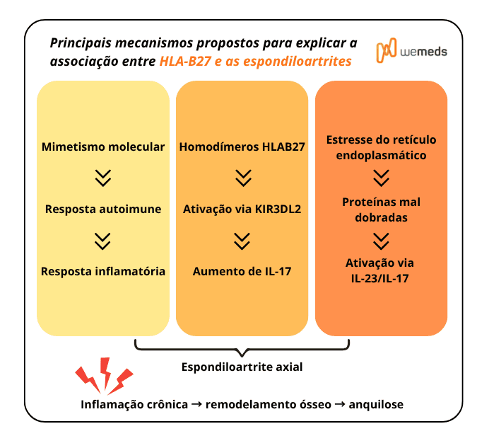 Principais mecanismos propostos para explicar a associação entre o HLA-B27 e as espondiloartrites