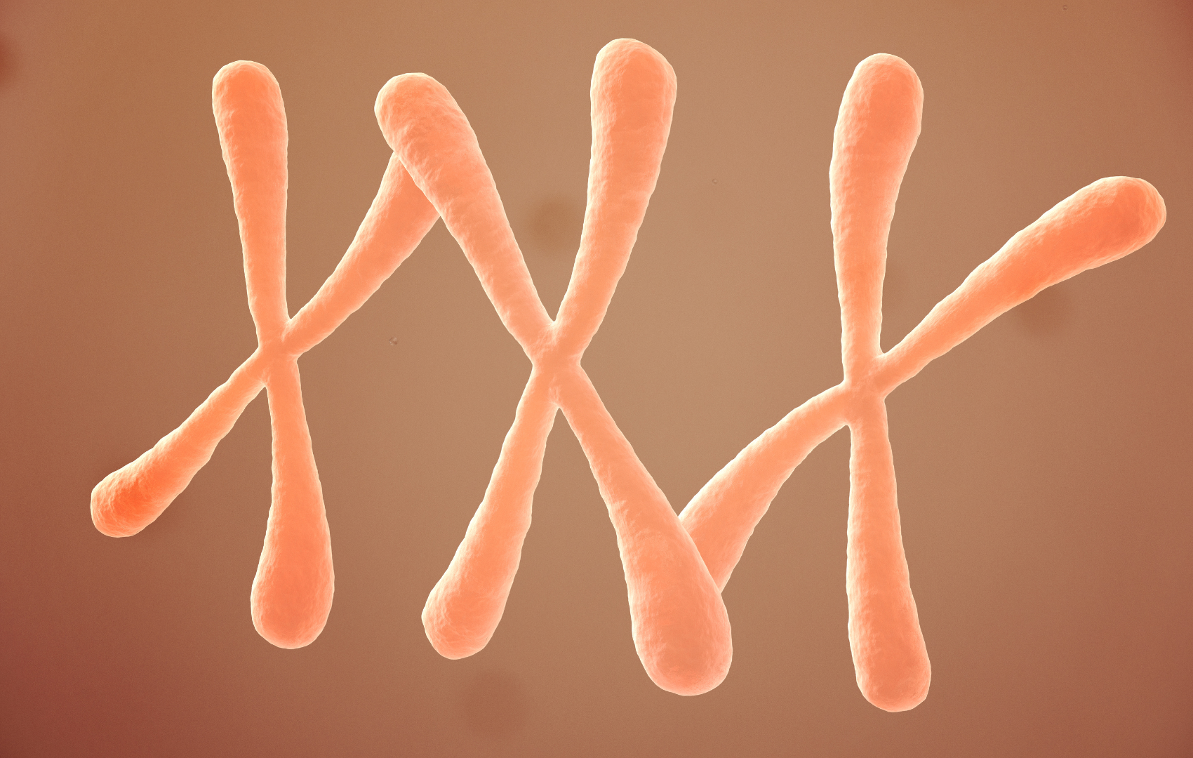 trissomias cromossômicas