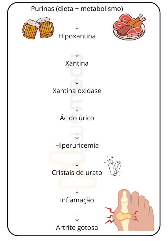 fluxograma de produção do ácido úrico e metabolismo das purinas até a hiperuricemia e artrite gotosa