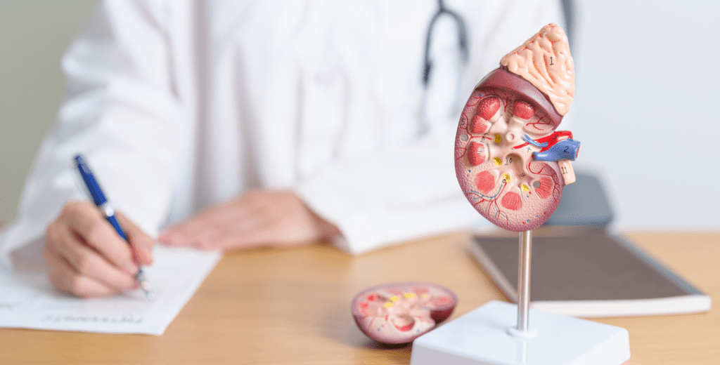 profissional de saúde solicitando exame de creatinina para avaliar a função renal