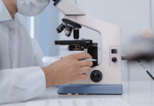 Cystoisospora belli: diagnóstico e tratamento de uma parasitose subestimada Cystoisospora belli, Cistoisosporíase