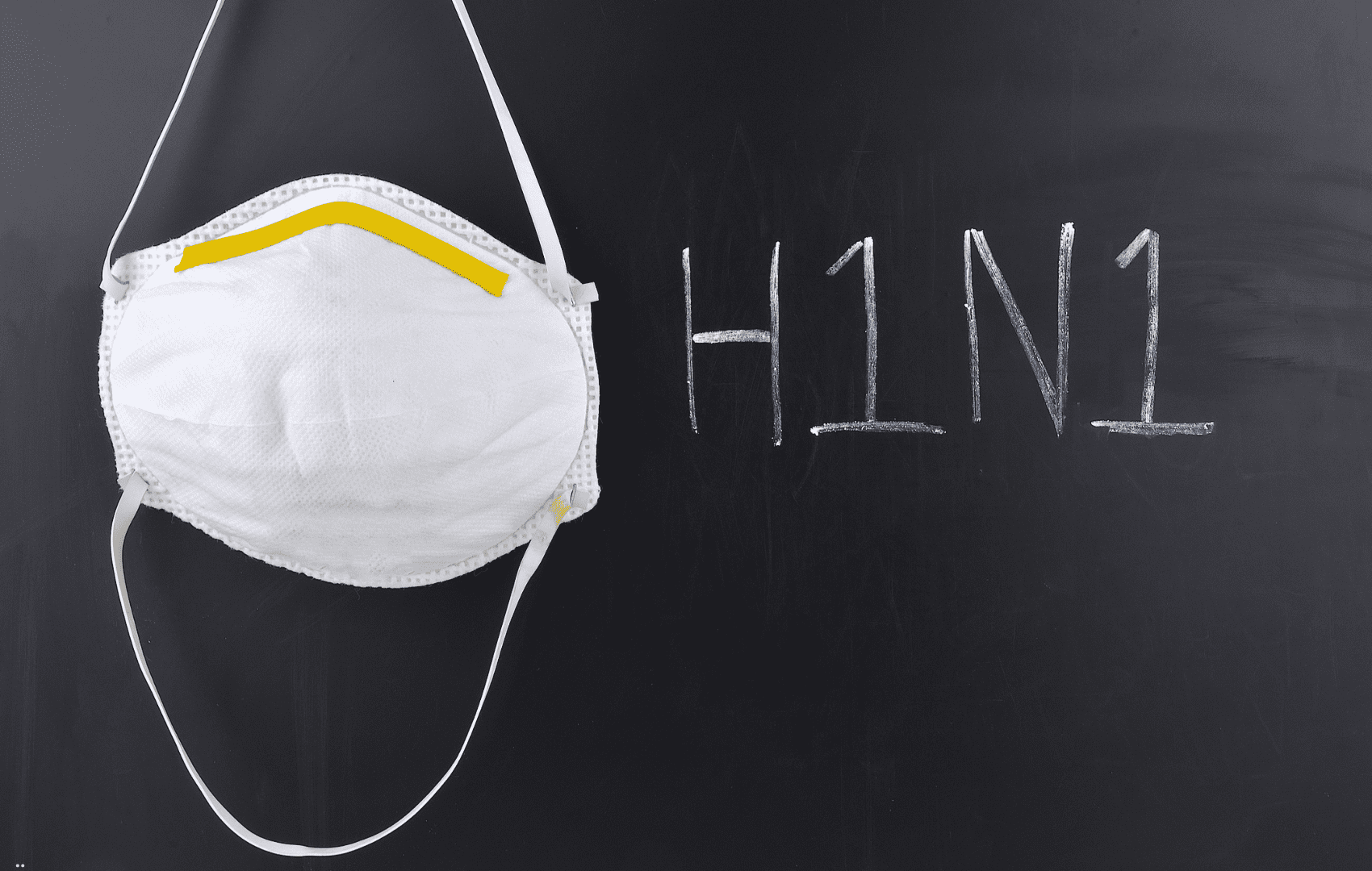 H1N1: revisando os principais conceitos h1n1