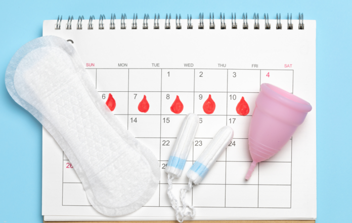 desreguladores endócrinos nos absorventes menstruais