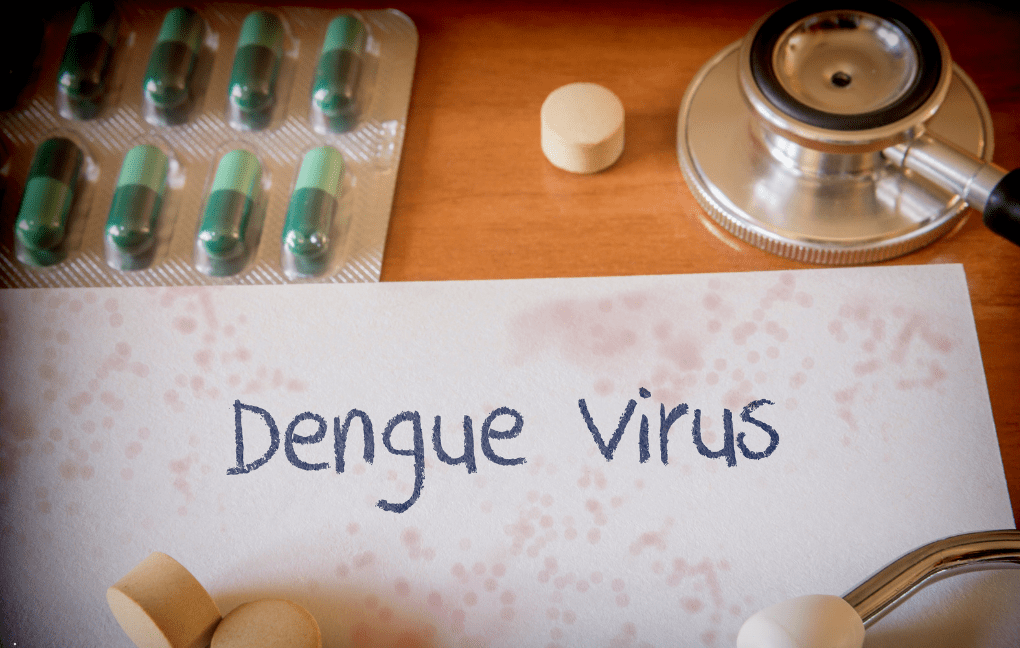 Perspectivas no Combate à Dengue em 2025