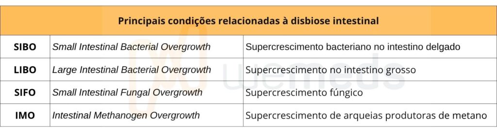Principais condições relacionadas à disbiose intestinal