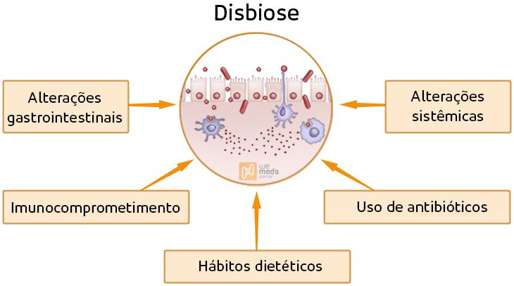 disbiose intestinal