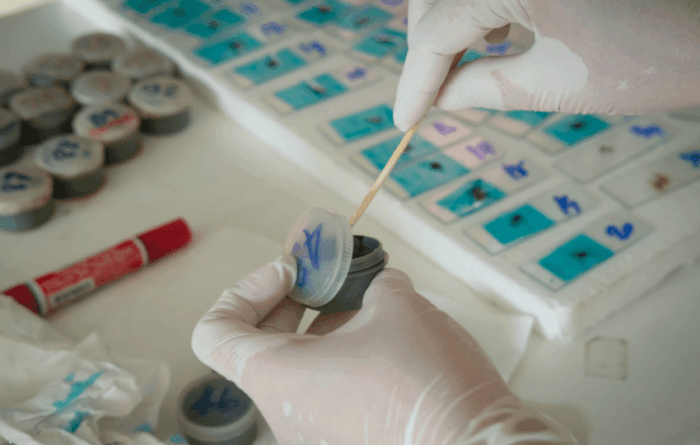 laboratório realizando análise de exame de fezes por teste FIT para rastreamento de câncer colorretal
