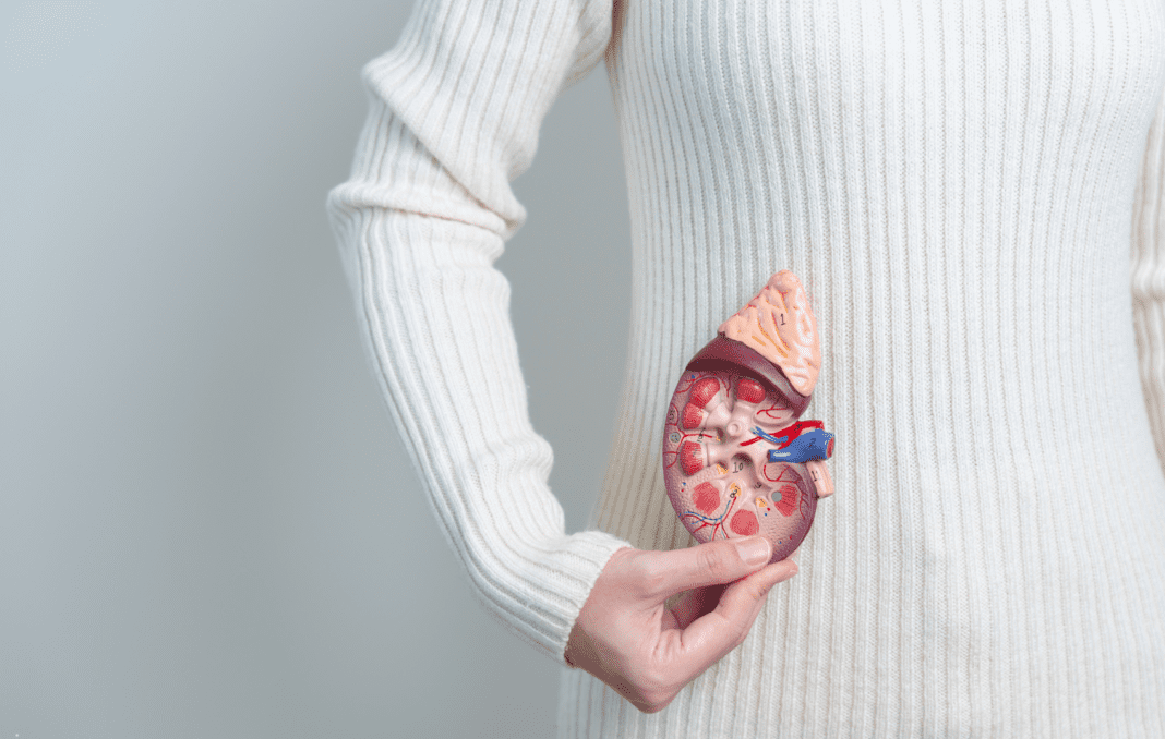 Em Rim Base Insuficiência renal aguda: causas mais comuns, diagnóstico e raciocínio ...