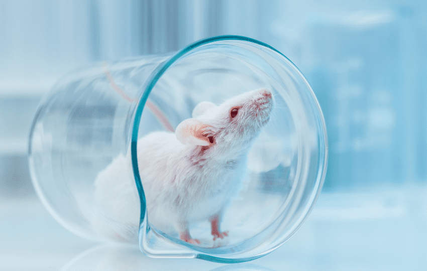 Biossegurança em serviços de saúde