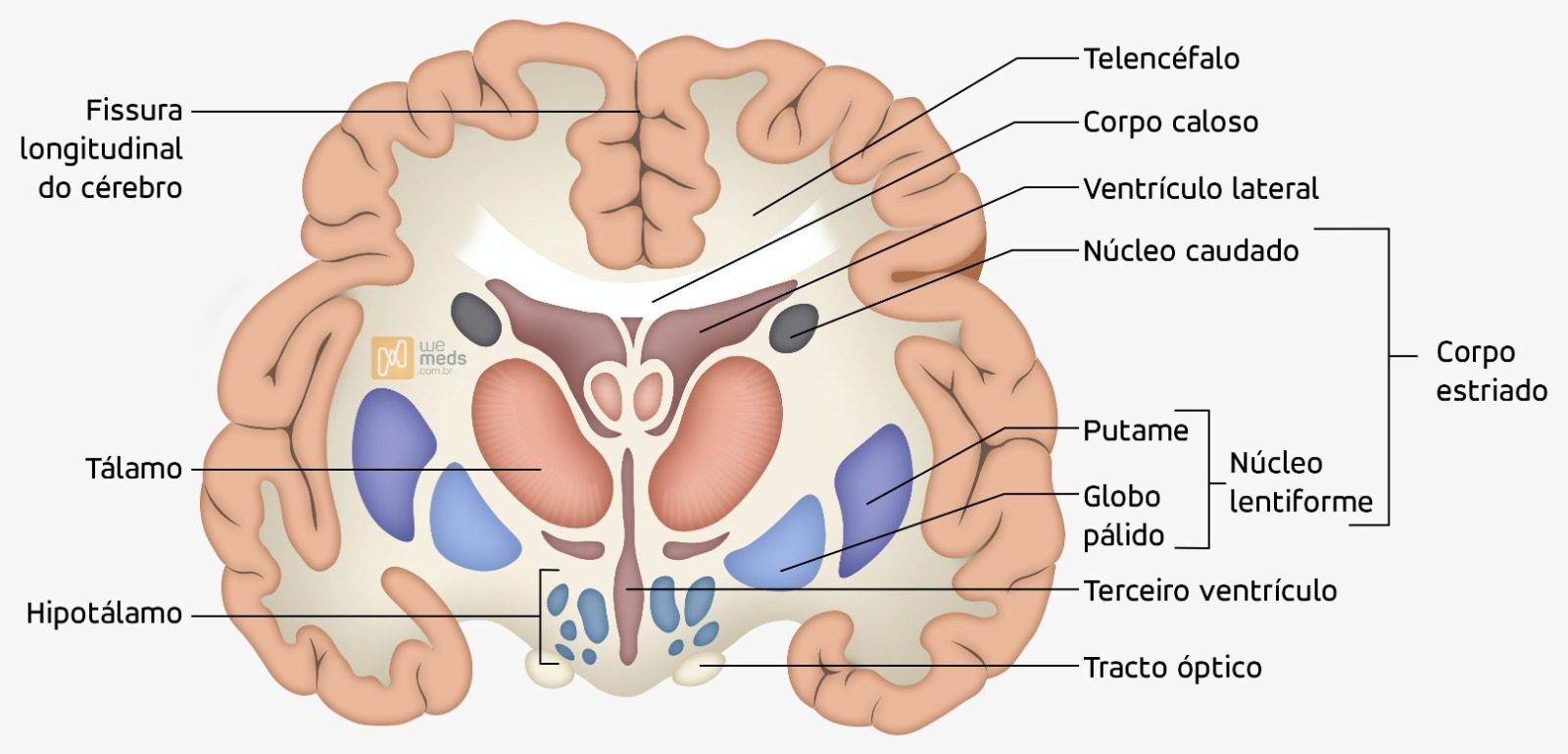 síndrome extrapiramidal