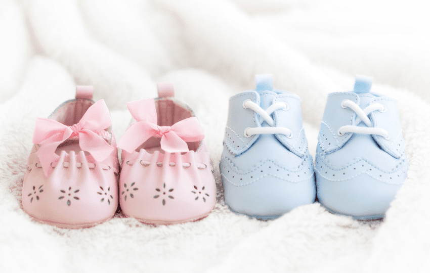 Taxa de gemelaridade