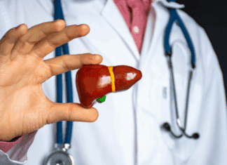 Alfafetoproteína (AFP): o exame ainda é útil no diagnóstico do carcinoma hepatocelular? imagem ilustrativa de médico segurando um fígado, representando o uso da alfafetoproteína (AFP) na avaliação do carcinoma hepatocelular.