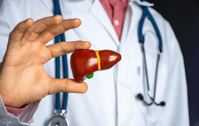 Cistos hepáticos Wegovy além da obesidade: FDA amplia uso da semaglutida para doença hepática grave