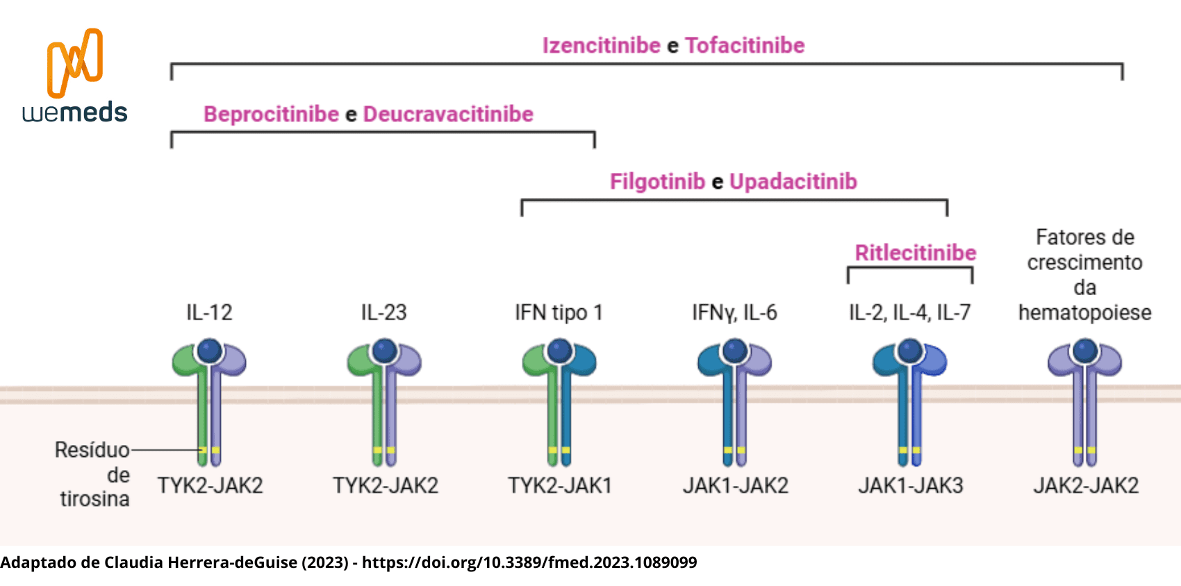 Inibidores de JAK filgotinib
