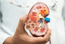 Insuficiência renal aguda: causas mais comuns, diagnóstico e raciocínio clínico insuficiência renal aguda, lesão renal aguda