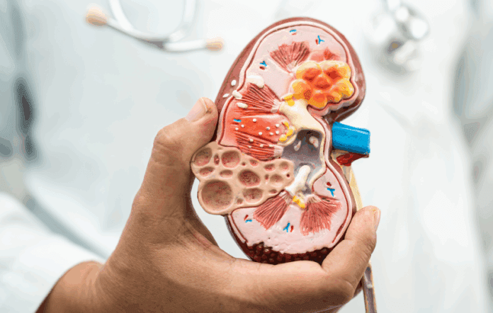 insuficiência renal aguda, lesão renal aguda