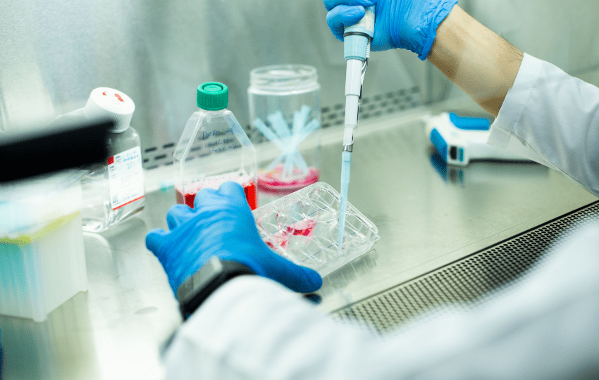 Transplante de ilhotas