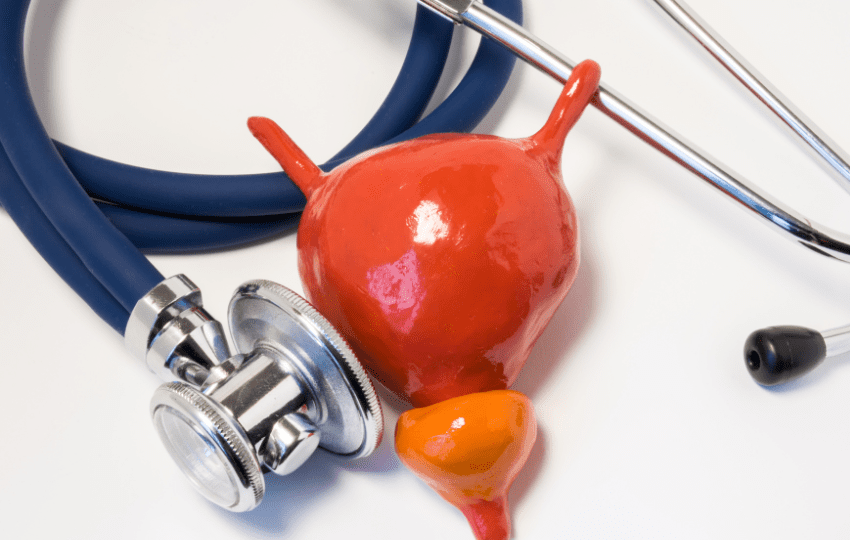 valrubicina câncer de bexiga