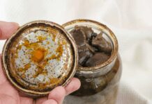 Botulismo: o perigo invisível que causa paralisia e pode ser fatal Botulismo