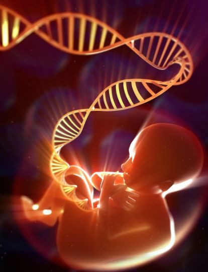 período periconcepcional