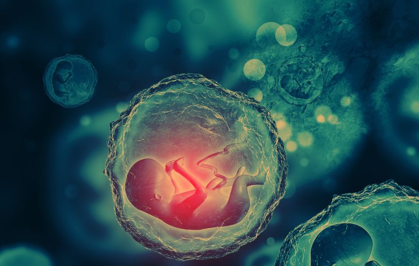 período periconcepcional