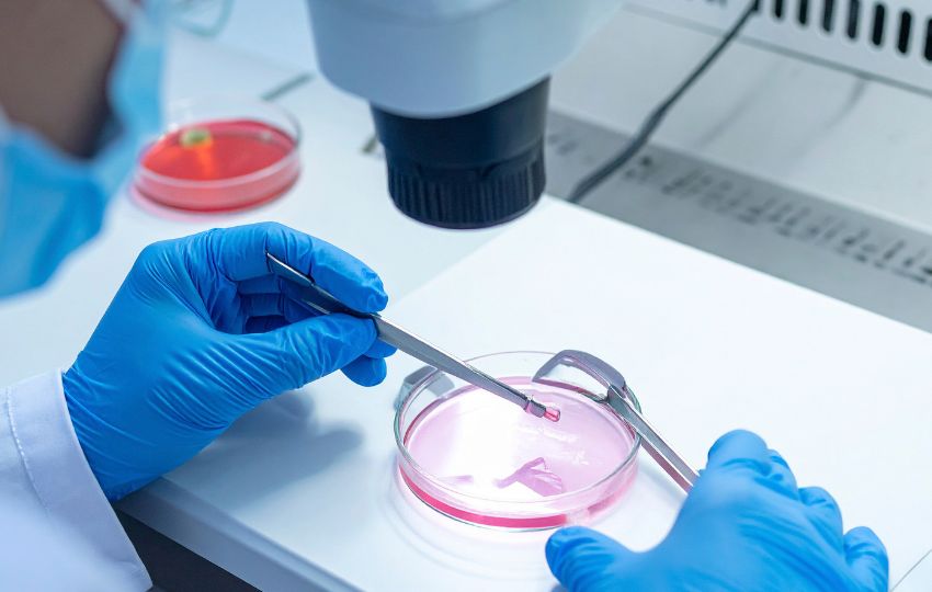 período periconcepcional