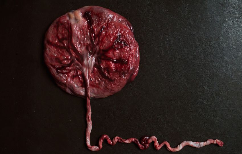 período periconcepcional