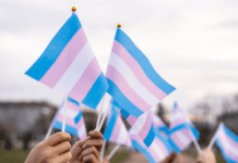 Saúde de pessoas trans no Brasil: vulnerabilidades invisíveis que adoecem e excluem saúde de pessoas trans no Brasil