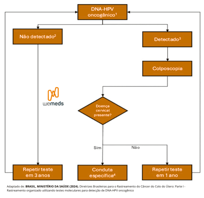 rastreamento do câncer do colo do útero, DNA-HPV