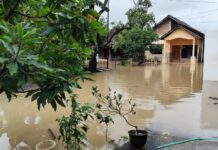 Doenças transmitidas pela água: por que o risco aumenta na mudança de estação? Rua alagada após chuva intensa em área urbana, com risco de doenças transmitidas pela água e leptospirose