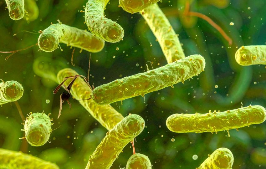 Ilustração de bactérias do gênero Vibrio associadas a doenças transmitidas pela água em ambientes aquáticos