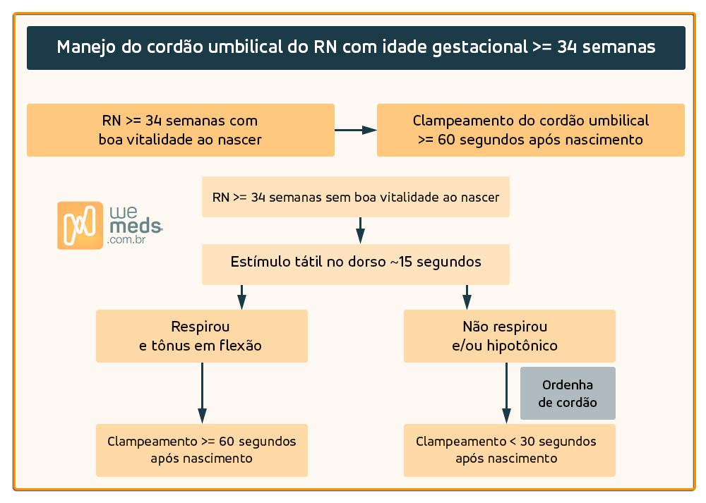 manejo do cordão umbilical do RN com idade gestacional pelo menos 34 semanas