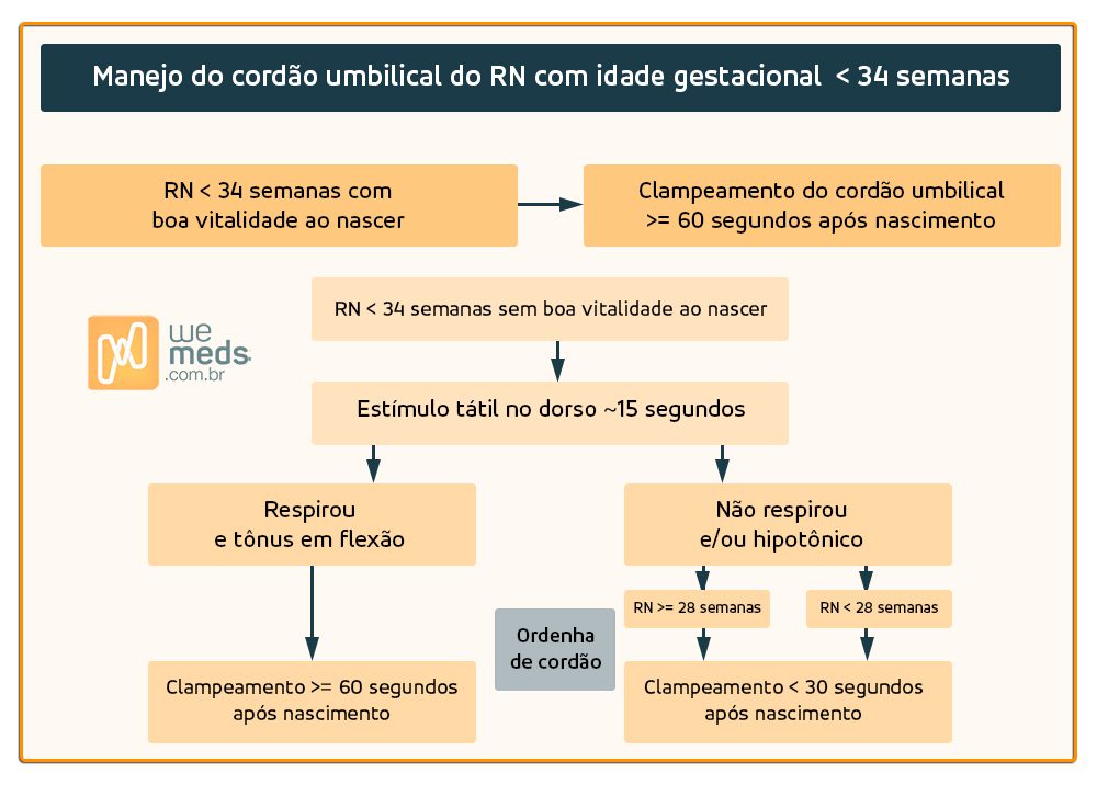 manejo do cordão umbilical do RN com idade gestacional menor que 34 semanas