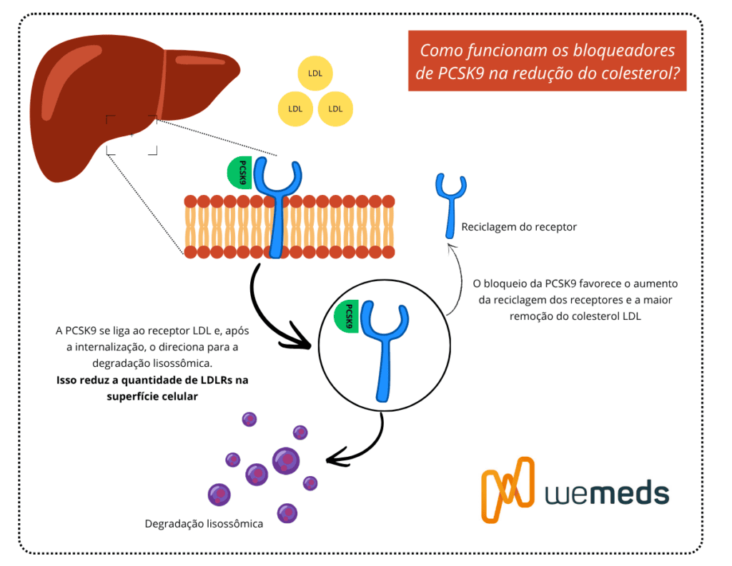 Como funcionam os bloqueadores de PCSK9 como enlicitida na redução do colesterol LDL