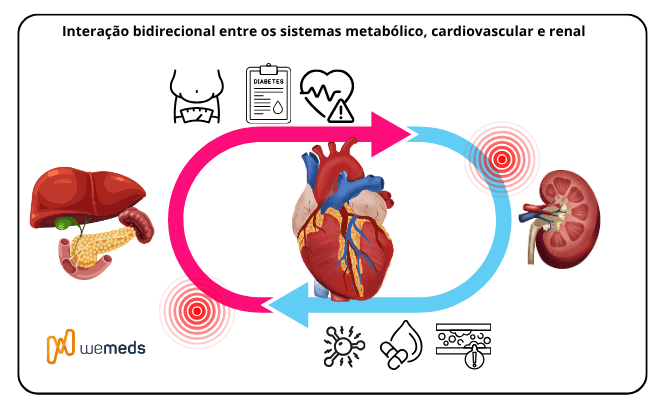 interação bidirecional entre os sistemas metabólico, cardiovascular e renal na síndrome CKM