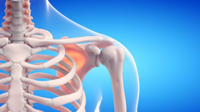 bone growth illustration ilustração de esqueleto humano em crescimento, representando a fibrodisplasia ossificante progressiva