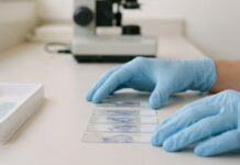 Câncer de mama quádruplo-negativo: biologia, prognóstico e perspectivas terapêuticas profissional de laboratório analisando amostras coletadas de paciente com câncer de mama quádruplo-negativo