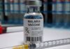 Vacina brasileira contra malária: Anvisa autoriza testes em humanos embalagens de Vivaxin, vacina brasileira contra malária